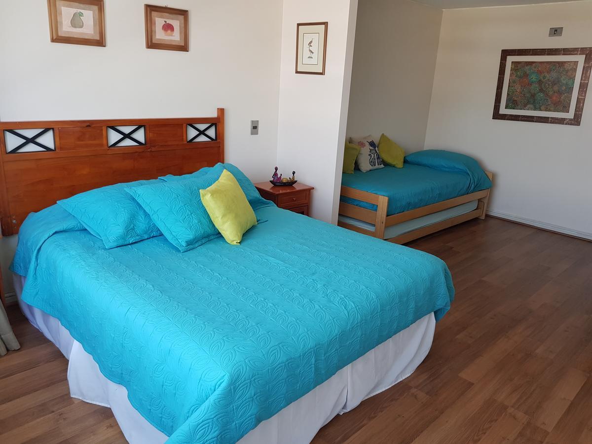 Pedro De Valdivia Apartment Providencia Сантьяго Екстер'єр фото